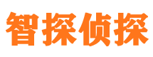 嘉黎调查事务所